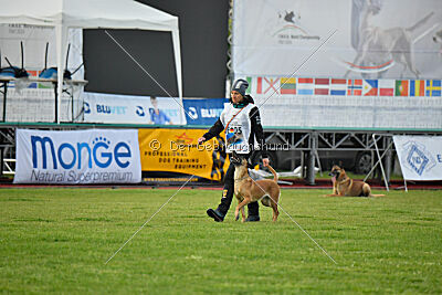 Yes Of Course von der Steinteichmühle