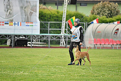 Yes Of Course von der Steinteichmühle