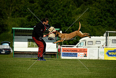 Yes of Course von der Steinteichmühle