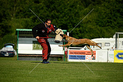 Yes of Course von der Steinteichmühle