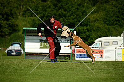 Yes of Course von der Steinteichmühle
