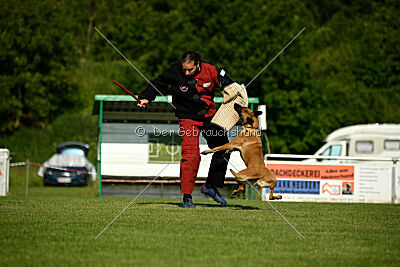 Yes of Course von der Steinteichmühle