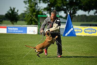 Yes of Course von der Steinteichmühle
