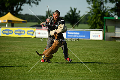 Yes of Course von der Steinteichmühle