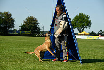 Yes of Course von der Steinteichmühle