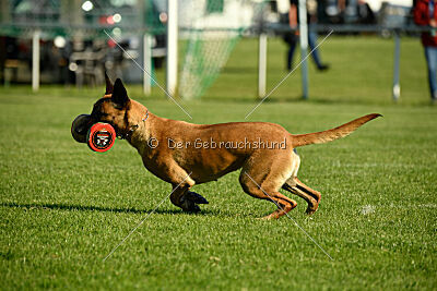 Yes of Course von der Steinteichmühle