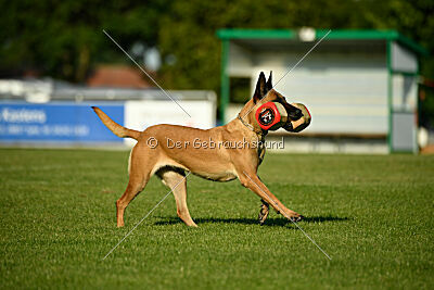 Yes of Course von der Steinteichmühle