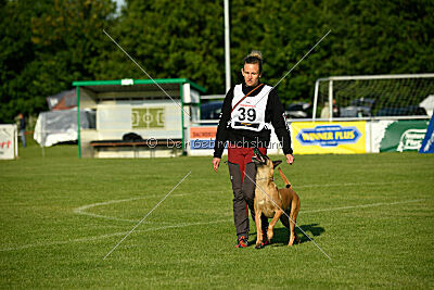 Yes of Course von der Steinteichmühle