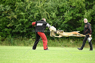 Yes of course von der Steinteichmühle