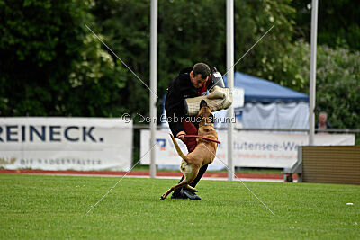 Yes of course von der Steinteichmühle