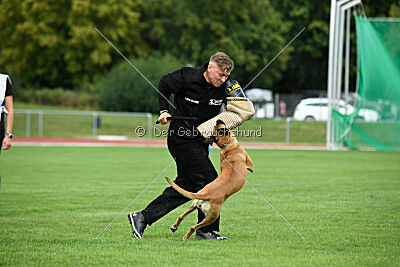 Yes of course von der Steinteichmühle