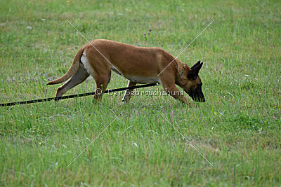 Yes of course von der Steinteichmühle