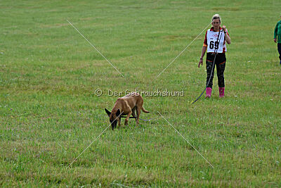 Yes of course von der Steinteichmühle