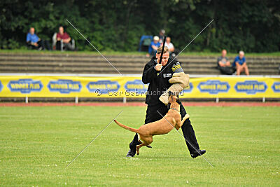 Yes of course von der Steinteichmühle