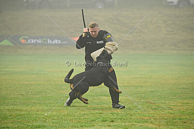 Yesh vom Hause Neubrand