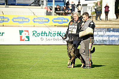 Yoggi aus der Königshöhle