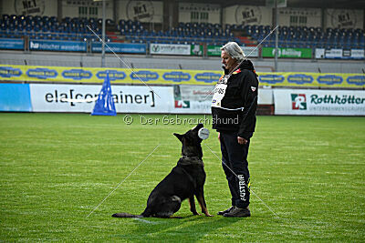 Yoggi aus der Königshöhle
