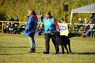 Yukon vom Gutspark