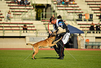 Yulf iz Komandy Azart