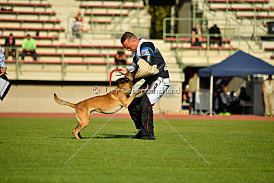 Yulf iz Komandy Azart