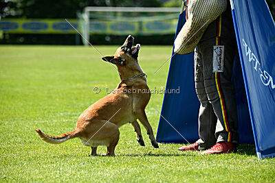 Yuma Airport Hannover