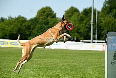 Yuma Airport Hannover