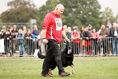 Yumah von den Wölfen