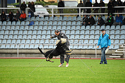 Yumah von den Wölfen