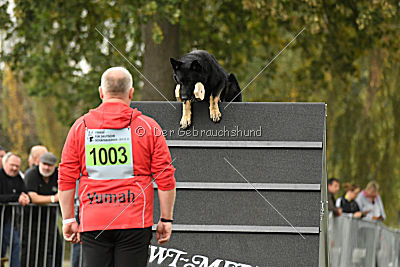 Yumah von den Wölfen