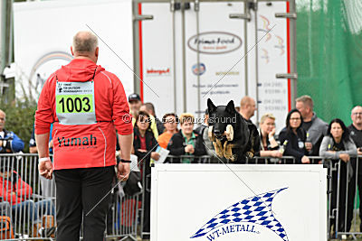 Yumah von den Wölfen