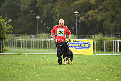 Yumah von den Wölfen