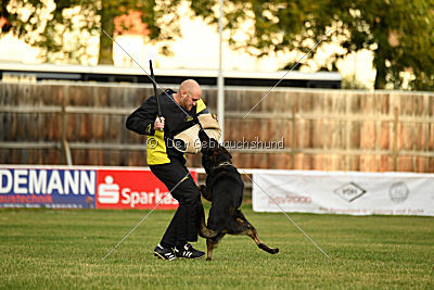 Yustav Wilhelm vom Gleisdreieck 