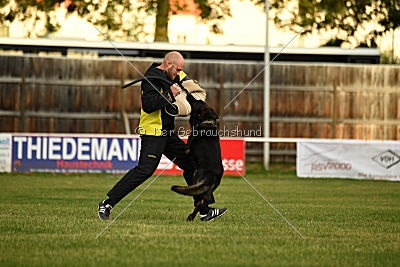 Yustav Wilhelm vom Gleisdreieck 