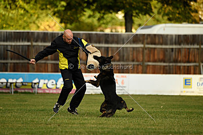 Yustav Wilhelm vom Gleisdreieck 