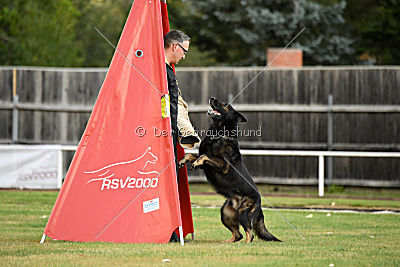 Yustav Wilhelm vom Gleisdreieck 