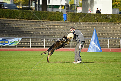 Yustav Wilhelm vom Gleisdreieck