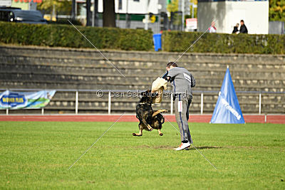 Yustav Wilhelm vom Gleisdreieck