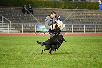 Yustav Wilhelm vom Gleisdreieck