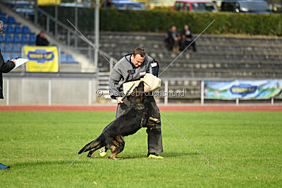 Yustav Wilhelm vom Gleisdreieck