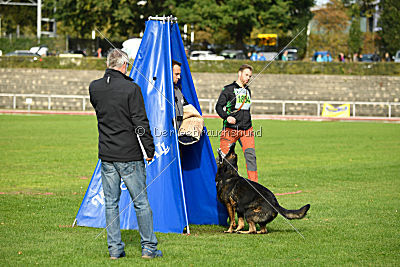 Yustav Wilhelm vom Gleisdreieck