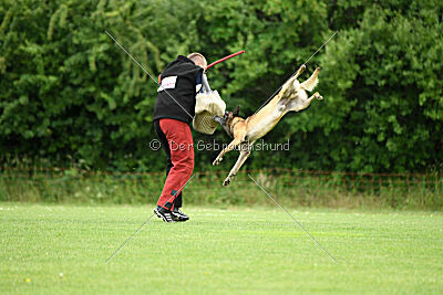 Zack vom Further Moor