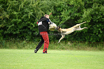 Zack vom Further Moor