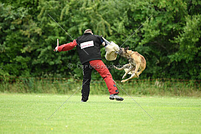 Zack vom Further Moor