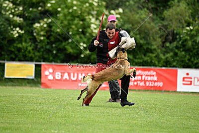 Zack vom Further Moor