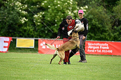 Zack vom Further Moor
