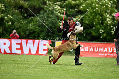 Zack vom Further Moor