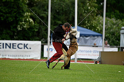 Zack vom Further Moor