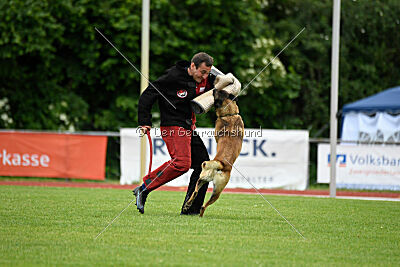 Zack vom Further Moor