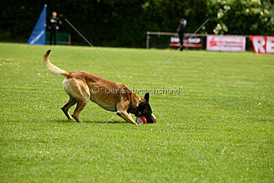 Zack vom Further Moor