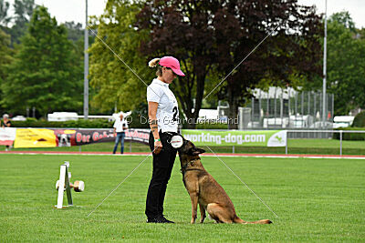 Zack vom Further Moor